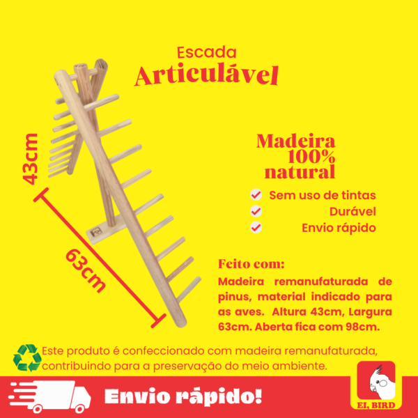 Escada Articulada para calopsitas, agapornis, Rosetas_Ei bird