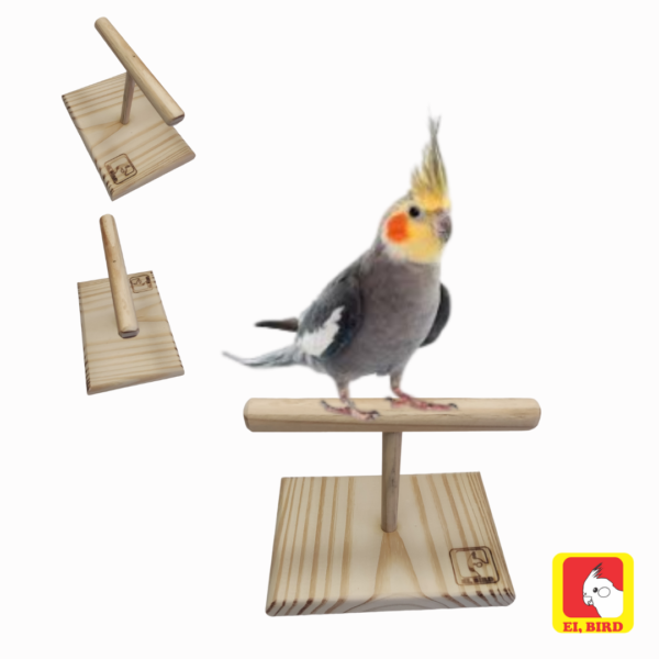 Kit Poleiro de Balança + Escada 20cm - Imagem 3