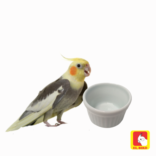 Comedouro de Porcelana Tamanho M (125ml) - Imagem 3