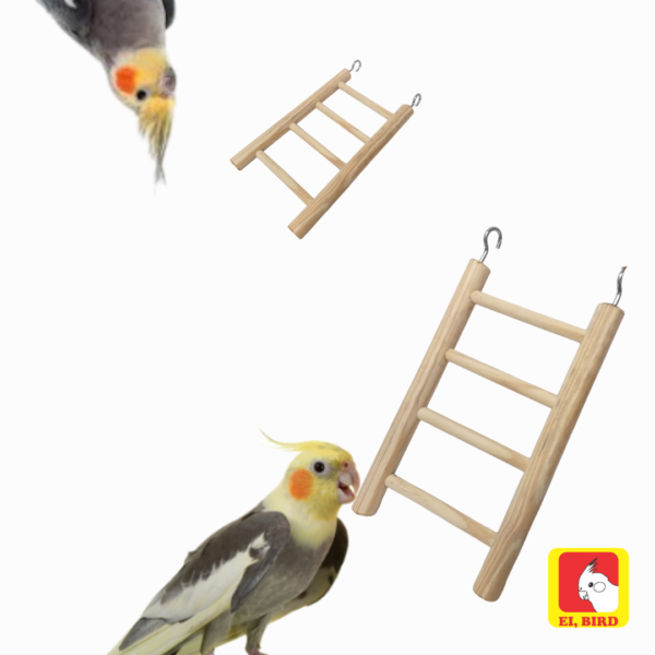 Kit Poleiro de Balança + Escada 20cm - Imagem 4