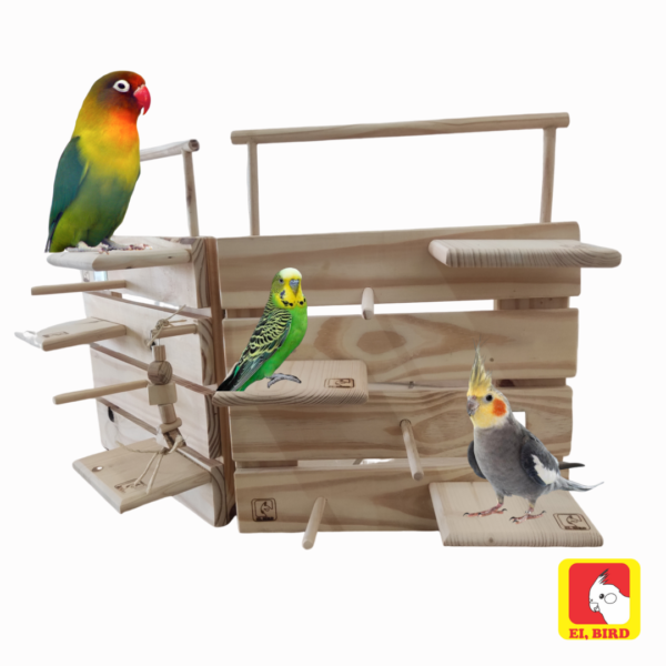 Playground de Parede e Mesa Portátil Starter para Calopsita, Agapornis, Rosela, Periquito, Ring Neck - Imagem 3