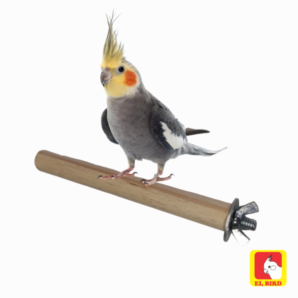 Poleiro Tradicional 14cm