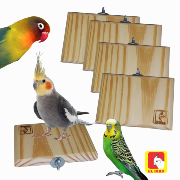 Poleiro Plataforma de Descanso (M) Para Calopsita, Papagaio, Periquito, Agapornis e Outros Psitacídeos - Imagem 2