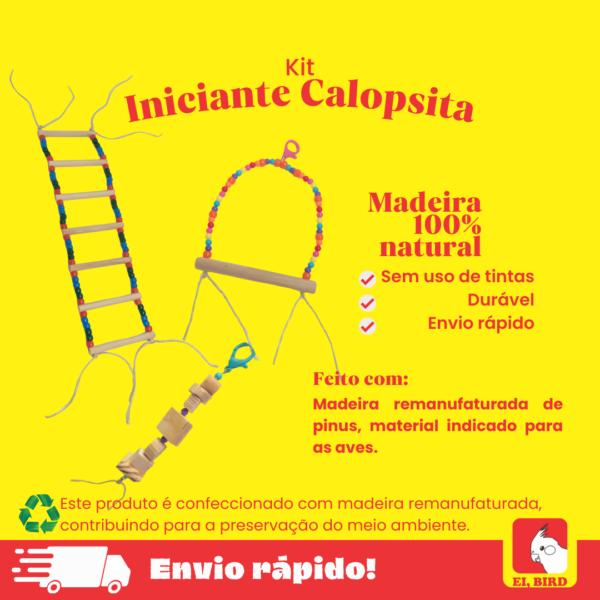 Kit Iniciante para Calopsita, Periquito entre outros Psitacídeos - Imagem 2