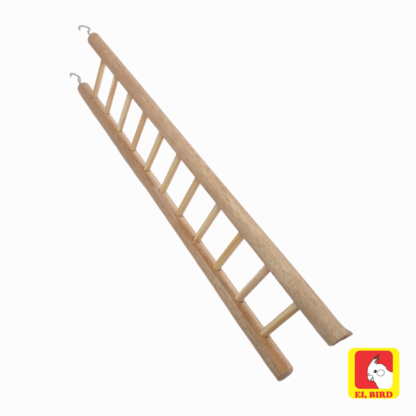 Escada 60cm para Calopsita Periquito Papagaio Agapornis Ring Neck - Imagem 3