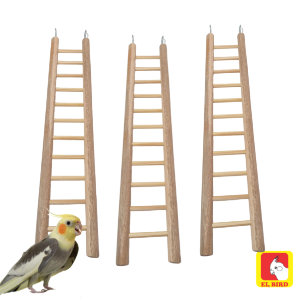 Escada 60cm para Calopsita Periquito Papagaio Agapornis Ring Neck - Imagem 5