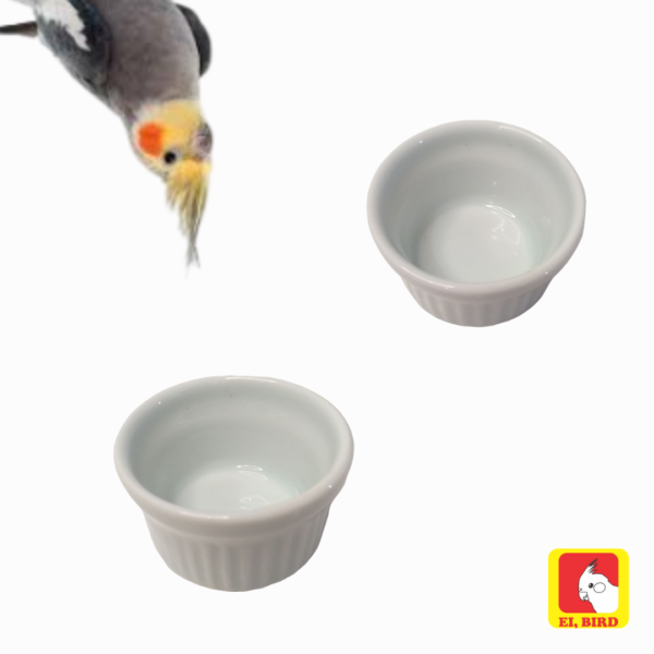 Comedouro em porcelana tamanho P para calopsita, periquito, agapornis - Imagem 3