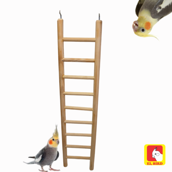 Escada 50cm Para Calopsita Periquito Papagaio Agapornis Ring Neck - Imagem 3