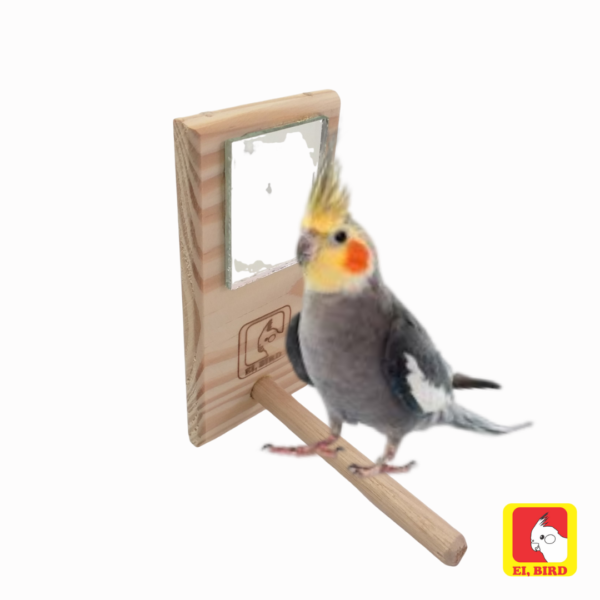 Poleiro com Espelho