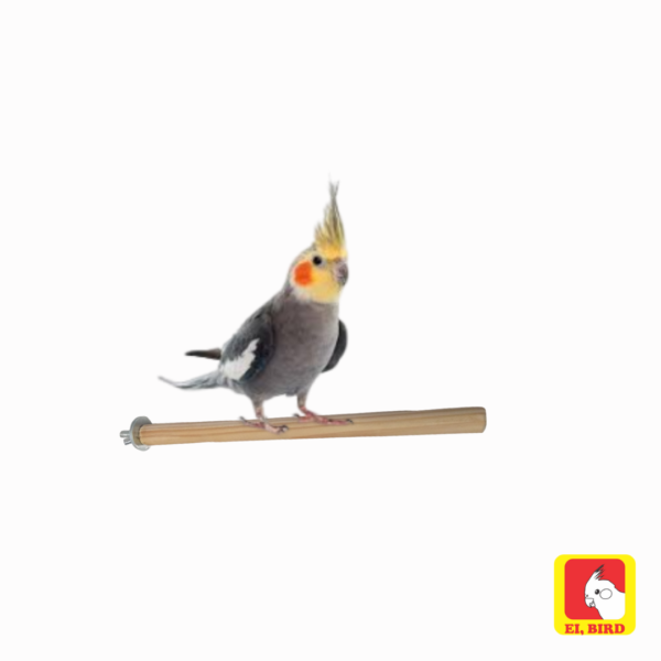 Poleiro tradicional 25cm p calopsita, periquito, agapornis - Madeira naturica Ei Birdal 100% ecológ - Imagem 3