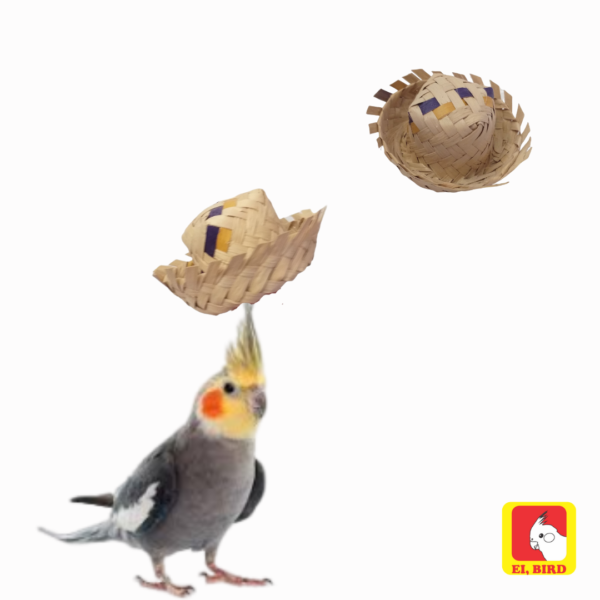 Chapéu de palha para calopsita, agapornis e periquitos - Imagem 3