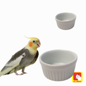 Comedouro/Ramekin Tamanho G (210ml) Porcelana para calopsita, periquito, agapornis, papagaio