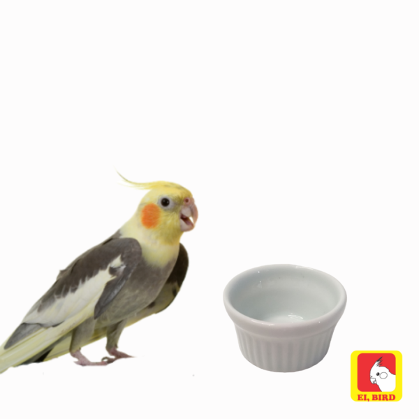 Comedouro em porcelana tamanho P para calopsita, periquito, agapornis - Imagem 4