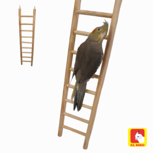Escada 50cm Para Calopsita Periquito Papagaio Agapornis Ring Neck
