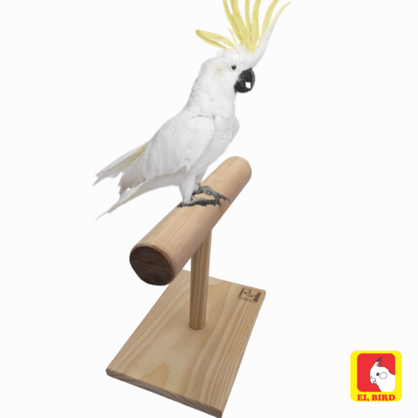 Poleiro de balança P/ Arara, Papagaio, Cacatua e Ring Neck - Imagem 3