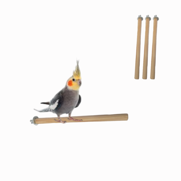 Kit 3 Plataformas M, 1 Poleiro de Balança e 1 Poleiro 25cm para Calopsita, e Outros Psitacídeos - Imagem 5
