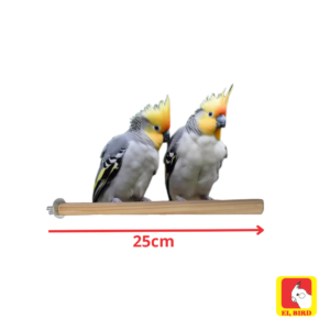 Poleiro tradicional 25cm p calopsita, periquito, agapornis - Madeira naturica Ei Birdal 100% ecológ