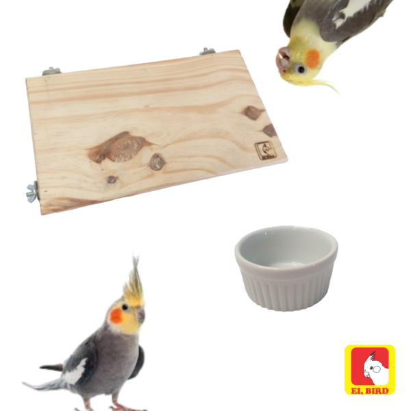 Kit Plataforma GG + 2 Comedouros M para Calopsita, Agapornis, Arara, Papagaio - Imagem 3