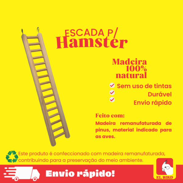 Escada Hamster Ratos Twister Porquinho da Índia e Demais Roedores - Imagem 2