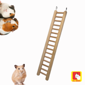 Escada Hamster Ratos Twister Porquinho da Índia e Demais Roedores