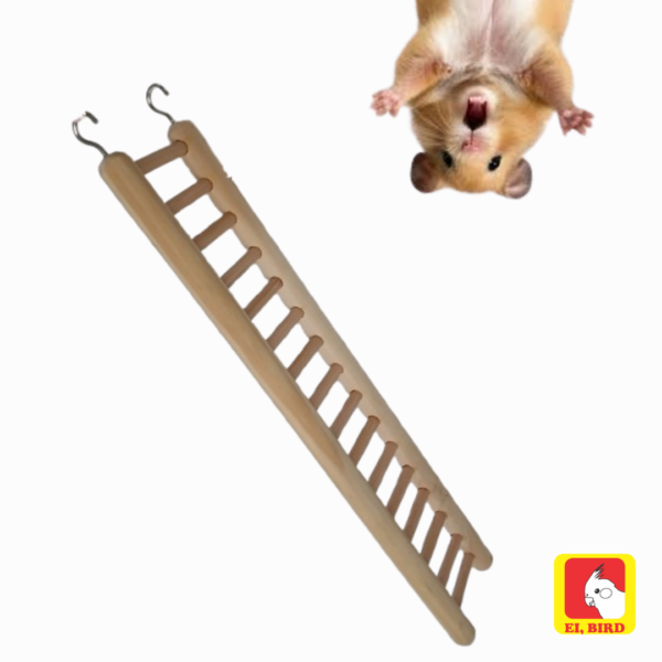 Escada Hamster Ratos Twister Porquinho da Índia e Demais Roedores - Imagem 3